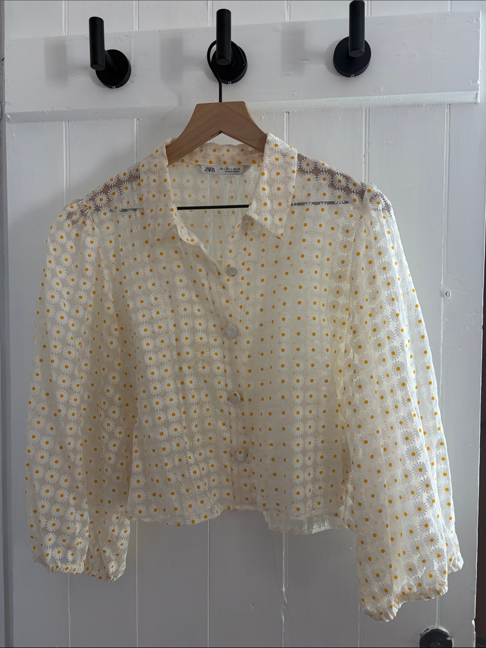Zara Sheer Button-Down Blouse with Daisy print